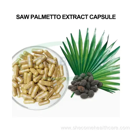 Prostate Health Support with Saw Palmetto Extract Capsules